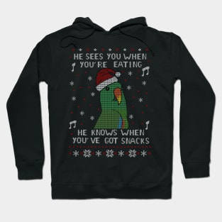 Ugly Christmas SNACK Male Eclectus Hoodie